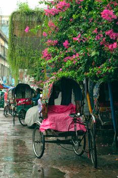 Vibrant urban street scene with rickshaws and lush pink flowers.