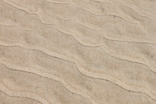 Základová fotografie zdarma na téma detail, duna, písek
