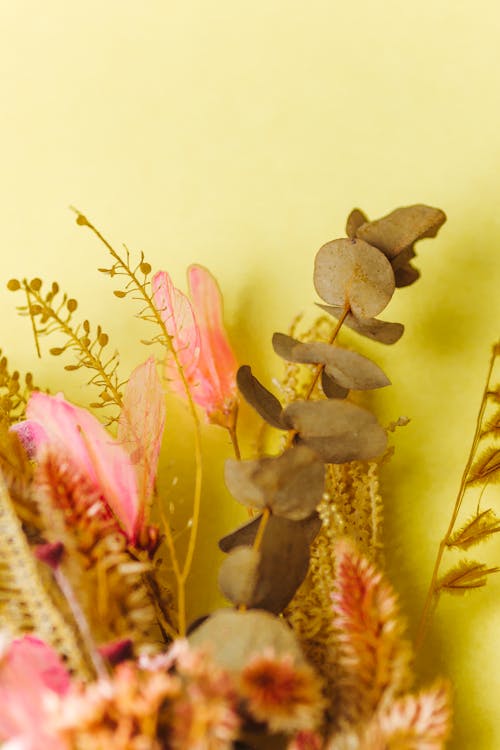 Closeup of a Bouquet with Pink Flowers and Dry Leaves against Yellow Background