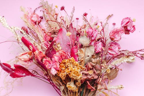 Dry Flower Bouquet against Pink Background