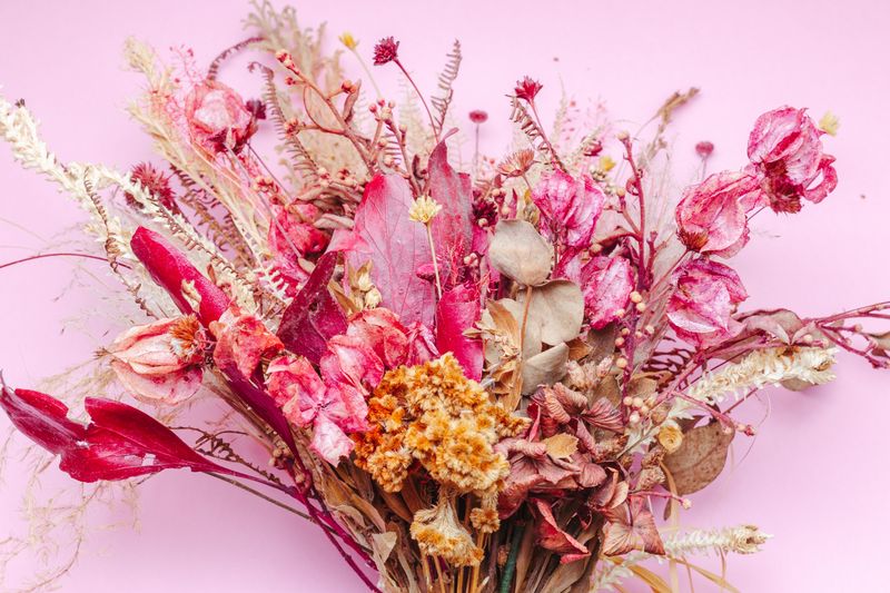 A bouquet of dried flowers in pink and rust tones on a pastel backdrop — photo by Jonathan Borba on Pexels