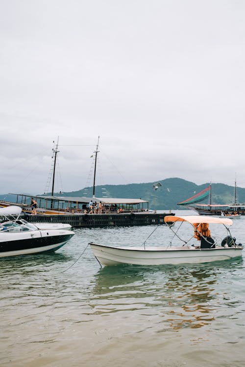 Variety of Boats in the Harbor 