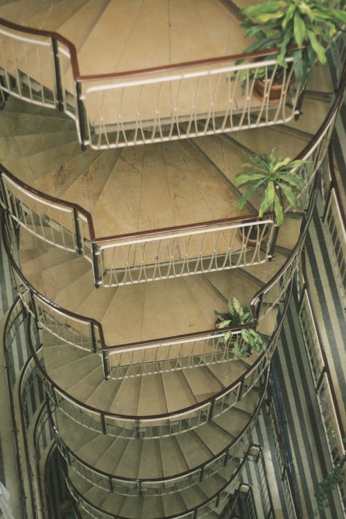 A Spiral Staircase with Flowers on the Railing 
