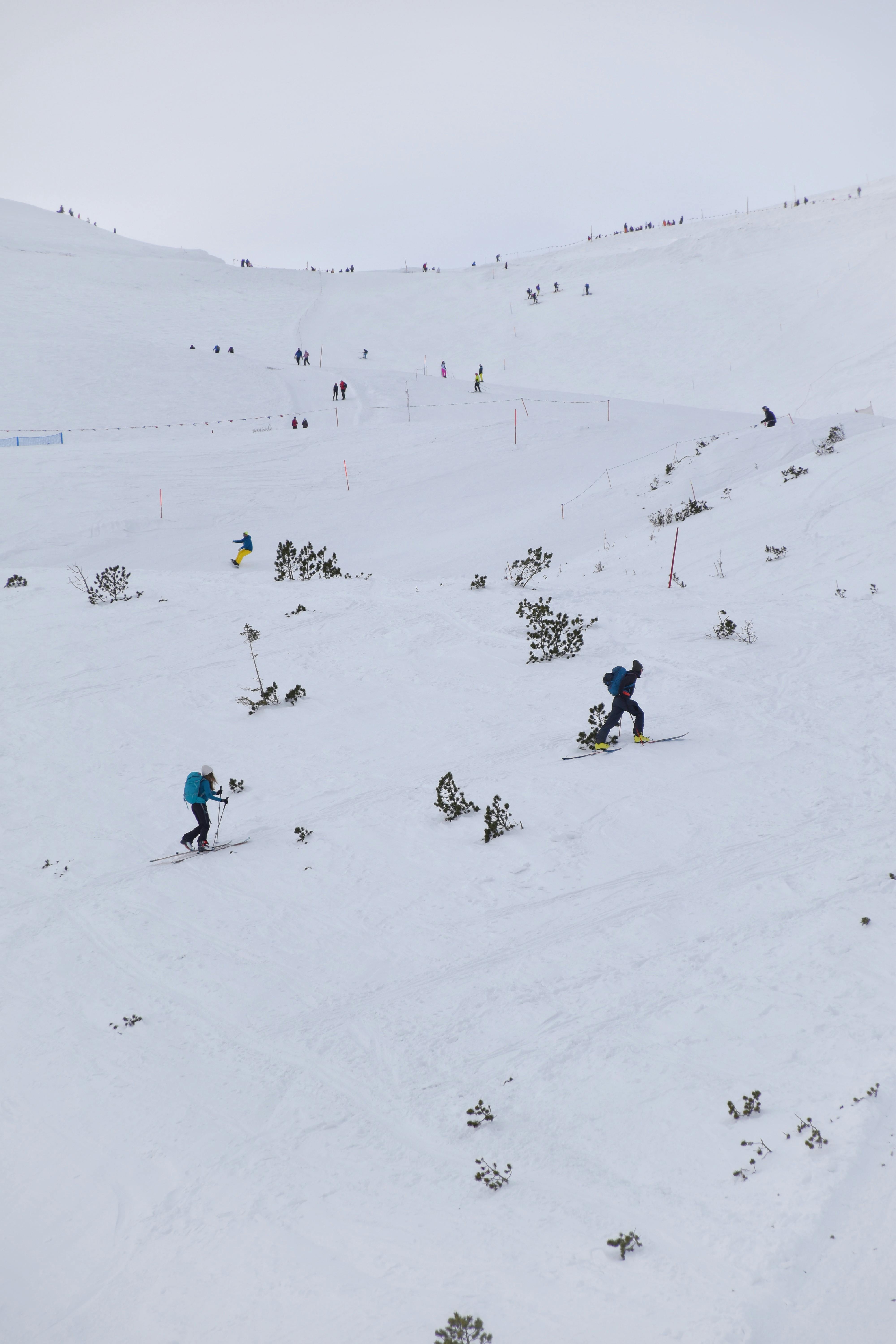 Skiers navigating a snowy mountain slope during winter in Zakopane, Poland. Perfect for winter sports enthusiasts.