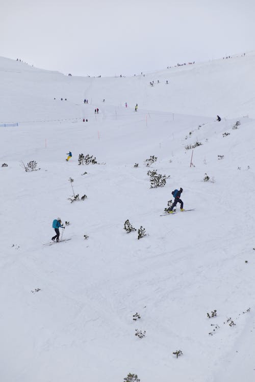 View of People on a Ski Slope from a Distance 