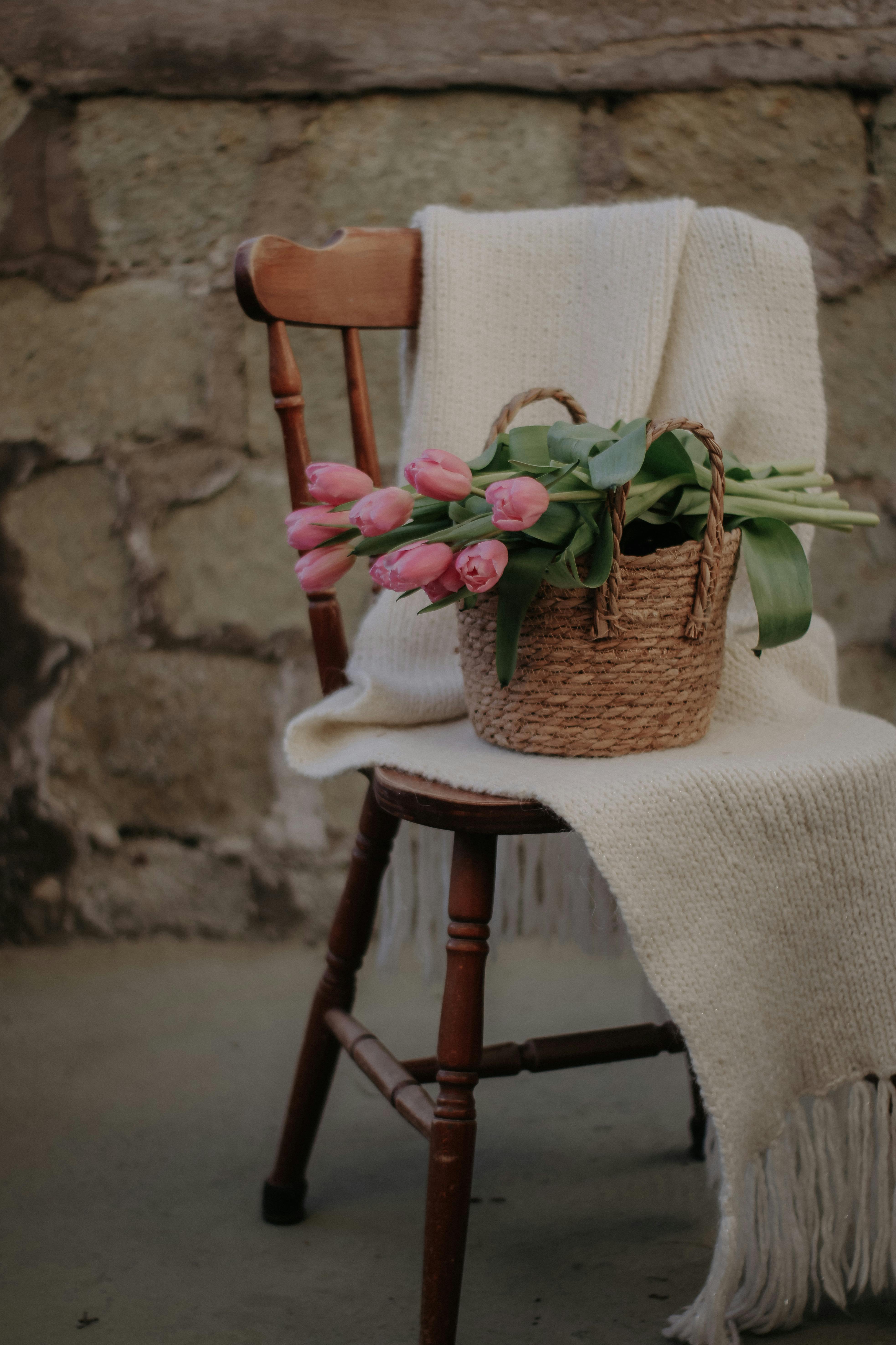 Charming rustic scene with pink tulips in a basket on a wooden chair draped with a blanket.