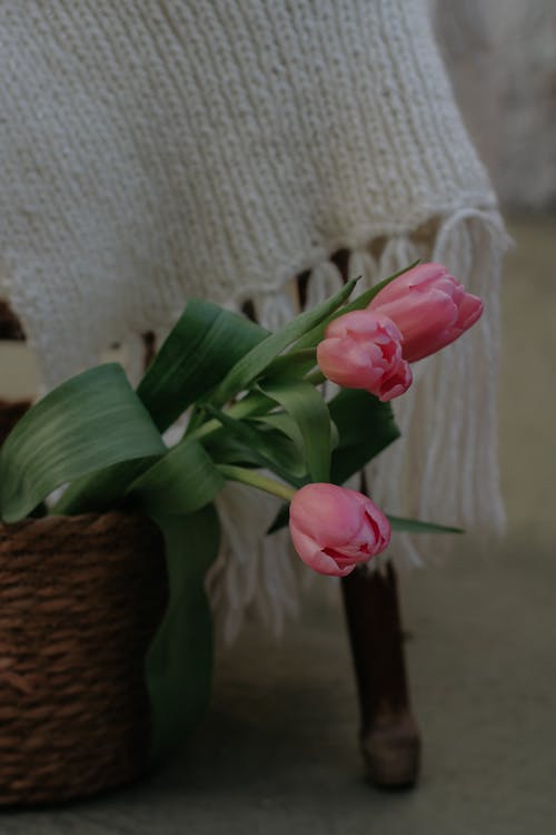Pink Tulips in Wicker Basket