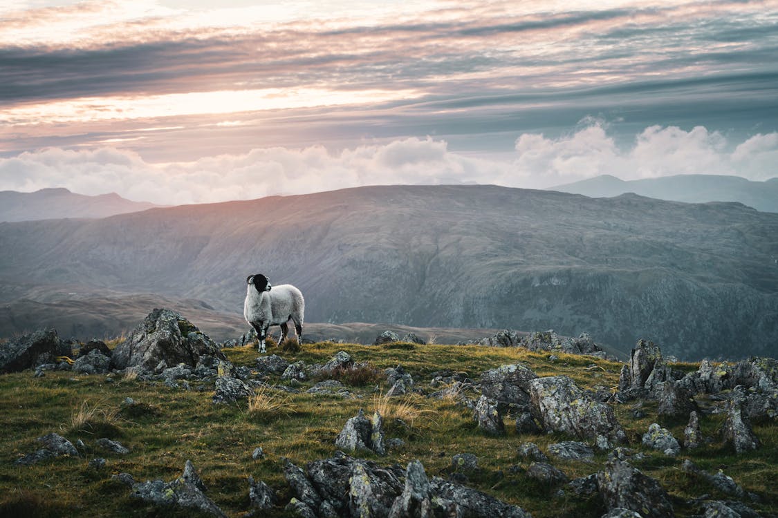 Δωρεάν στοκ φωτογραφιών με highlands, βουνό, βράχια