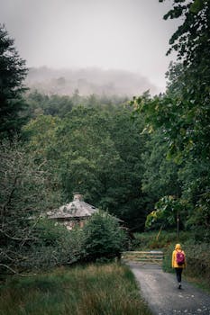 一位孤独的徒步旅行者正走向乡村小屋，在迷雾笼罩的森林中，这场景如画一般