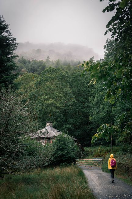 A picturesque scene of a lone hiker in a misty forest, walking towards a rustic cottage.