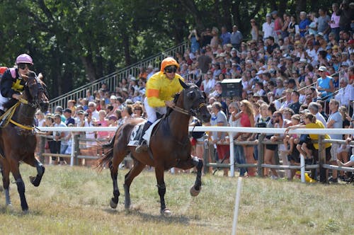 Kostenloses Stock Foto zu geschwindigkeit, gucken, jockey