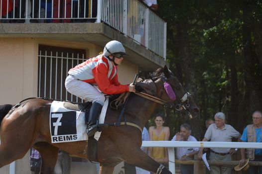 Jockey on horse number seven competing in a thrilling race with spectators watching.
