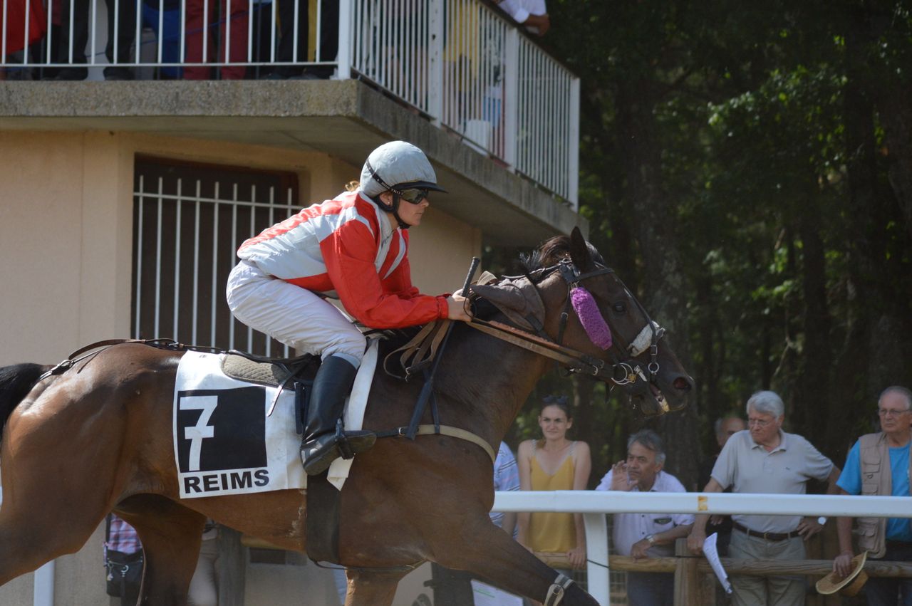 jockey on horse number seven competing in a thrilling race with specta