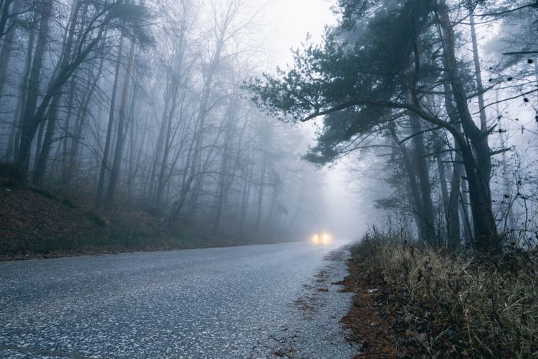 Headlights approaching on a misty forest road, photo by Denitsa Kireva on Pexels