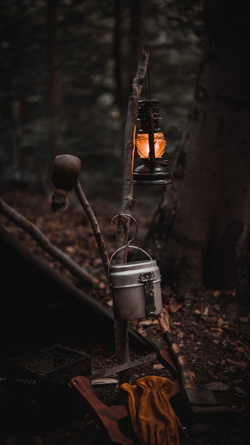 A Lantern and Pot Hanging on a Branch on a Camp in a Forest
