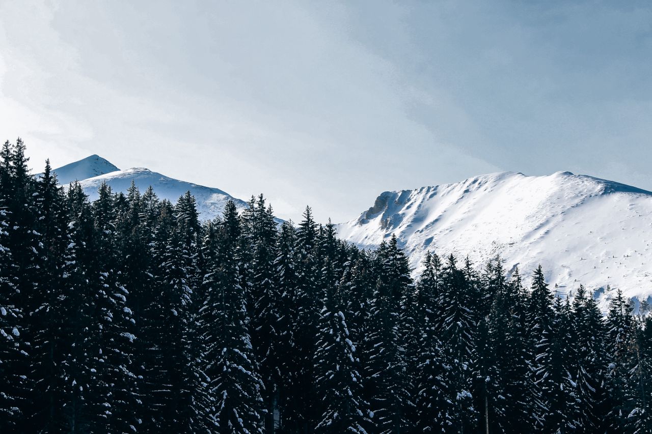 a breathtaking view of snow covered mountains and pine trees in bansko
