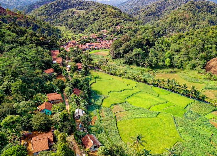 Aerial Photography Of Houses