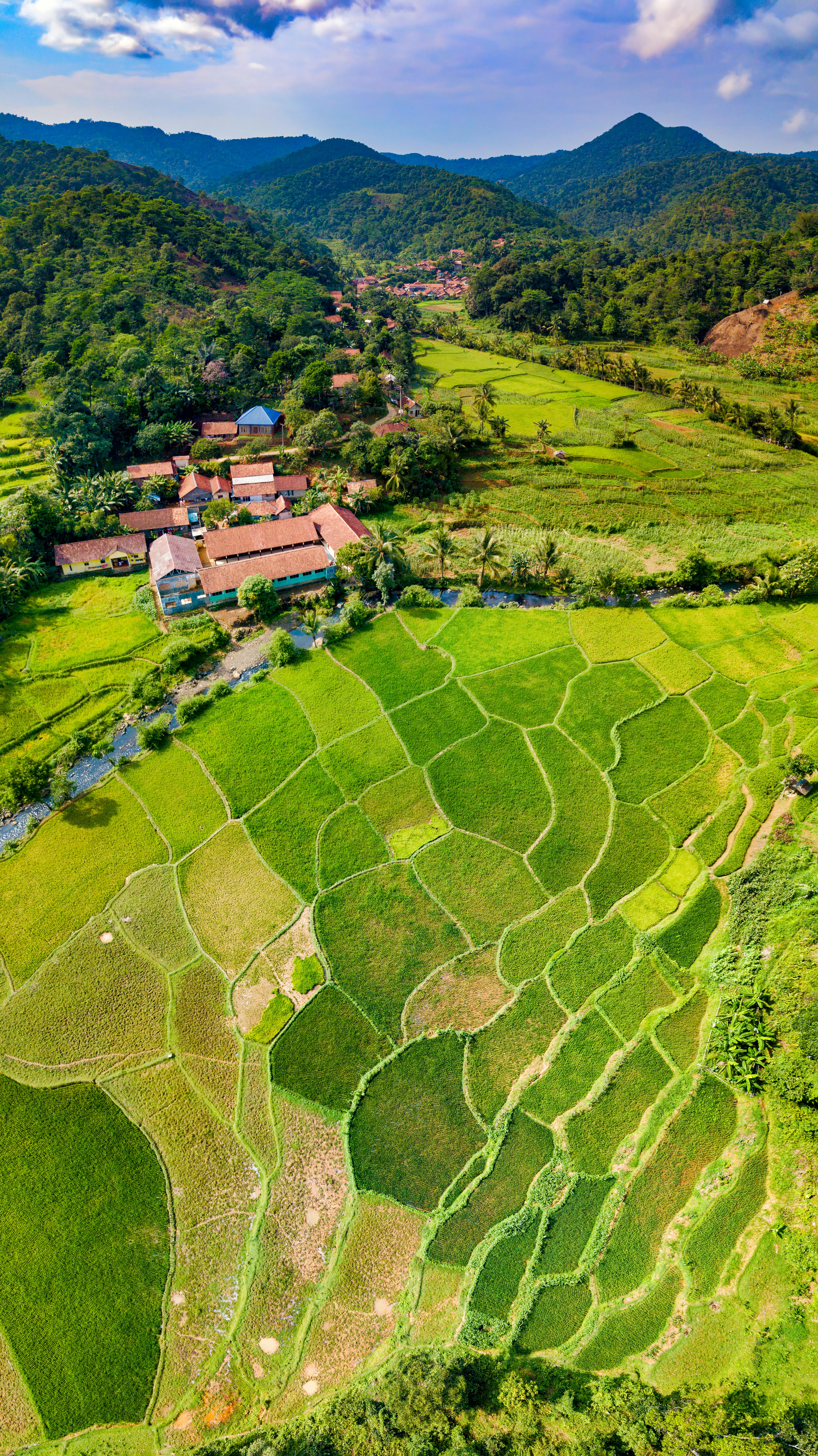 운동 기록을 확인하는 사람