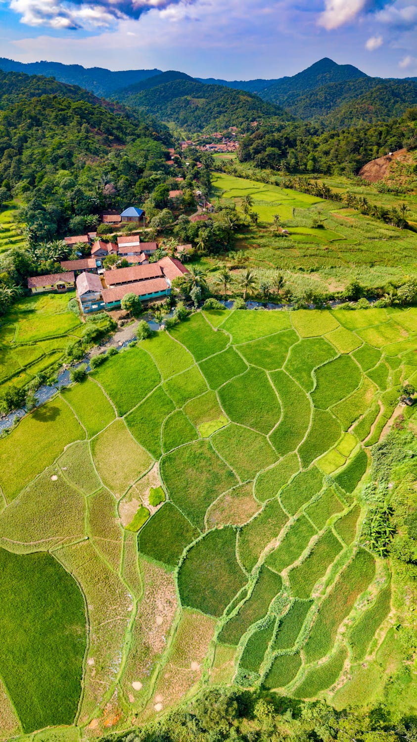 운동 기록을 확인하는 사람