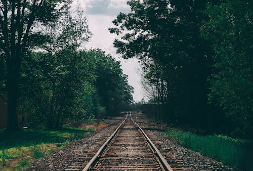 Von Bäumen Umgebene Bahnstrecke