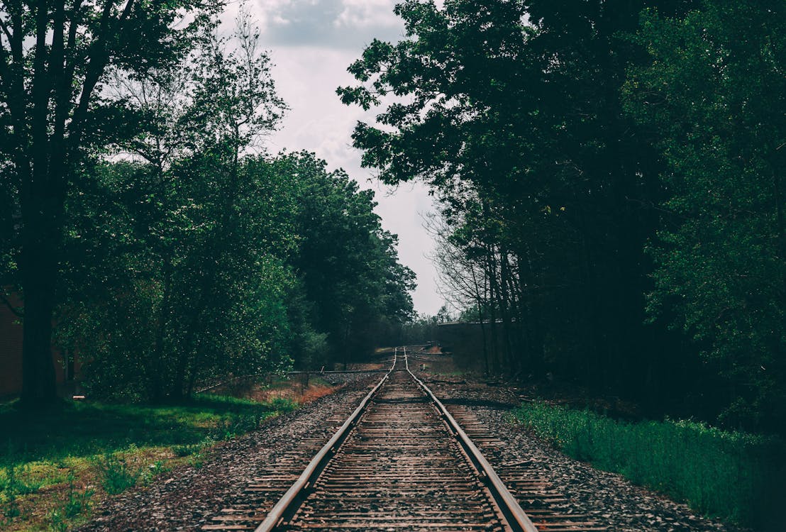 Free Train Track Surrounded by Trees Stock Photo