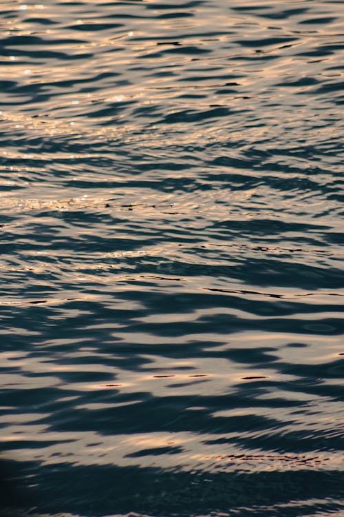 deniz, Desen, dikey atış içeren Ücretsiz stok fotoğraf