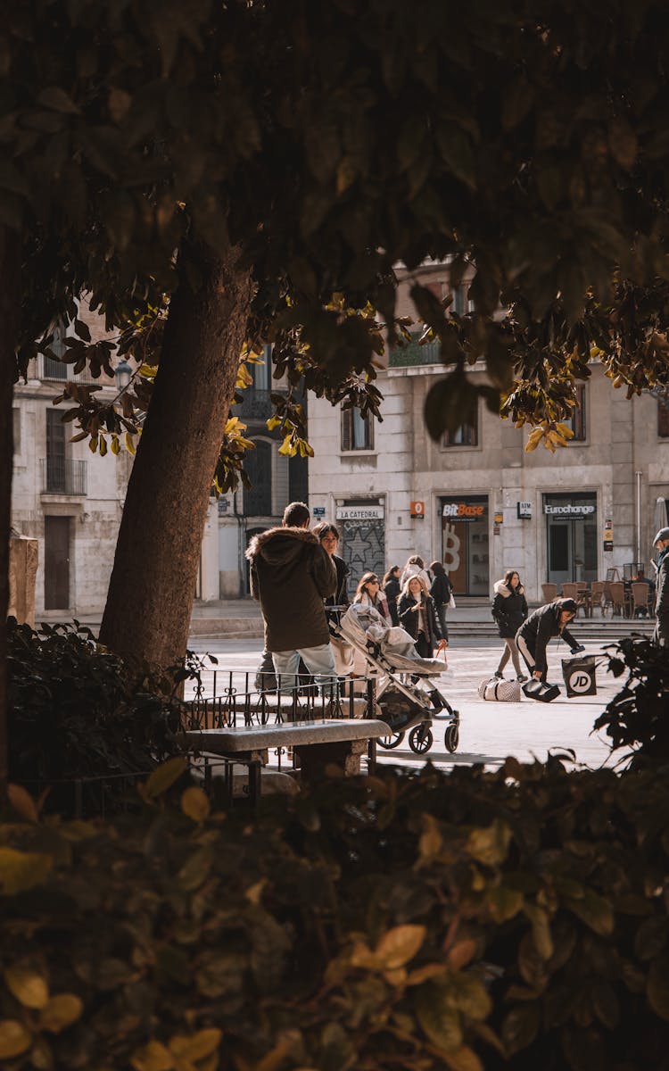 People Walking On Street Seen Through Trees In Park