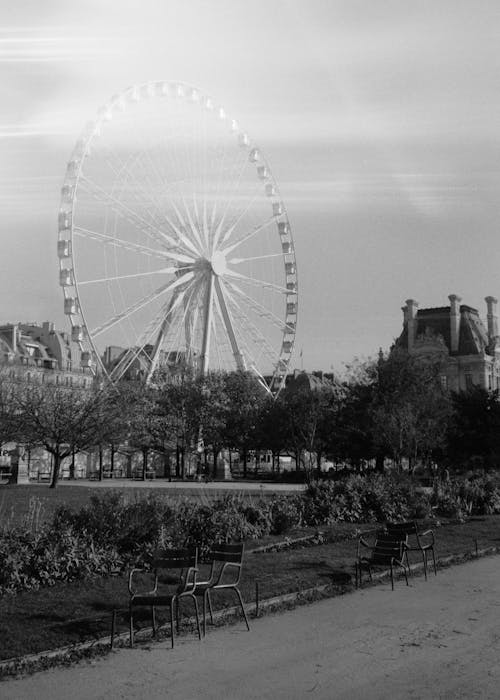 Ferris Wheel by Park in City