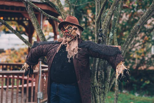 Scarecrow Beside Tree