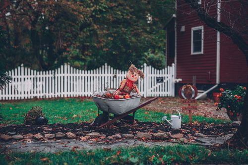 Free Charming autumn garden with a scarecrow in a wheelbarrow, surrounded by vibrant foliage and a wooden house. Stock Photo