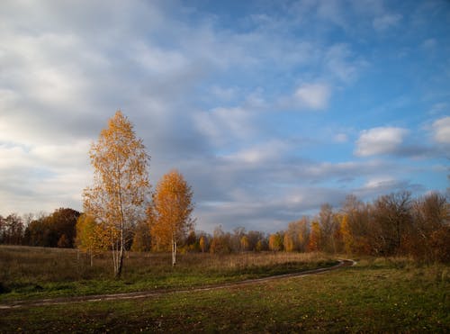 가을, 경치, 농촌의의 무료 스톡 사진
