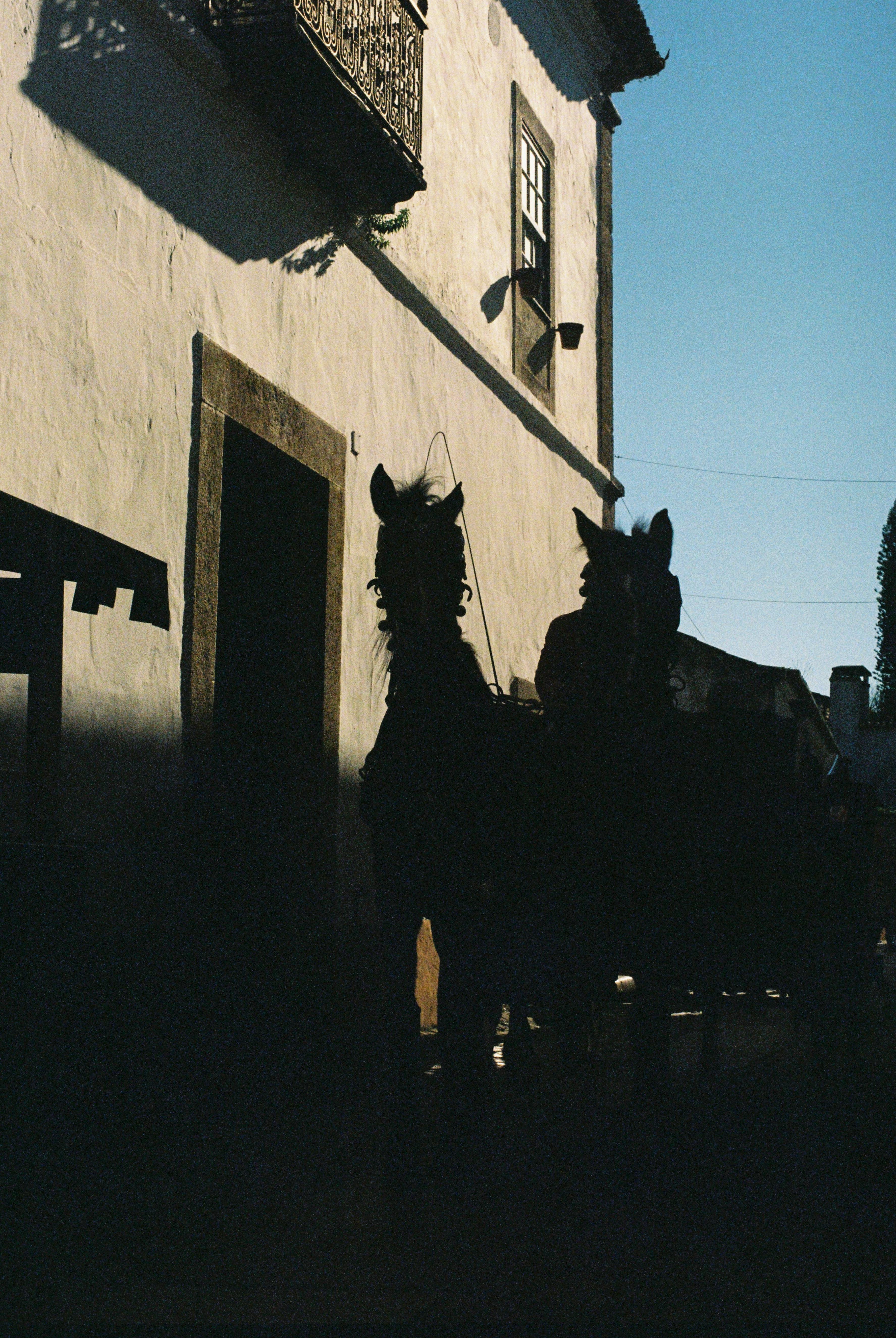Silhouetted horses pulling a cart down a shadowed street in Óbidos, Portugal.