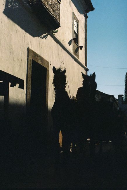 Silhouetted horses pulling a cart down a shadowed street in 脫bidos, Portugal.