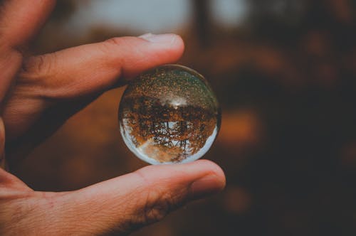 Person Holding Glass Ball