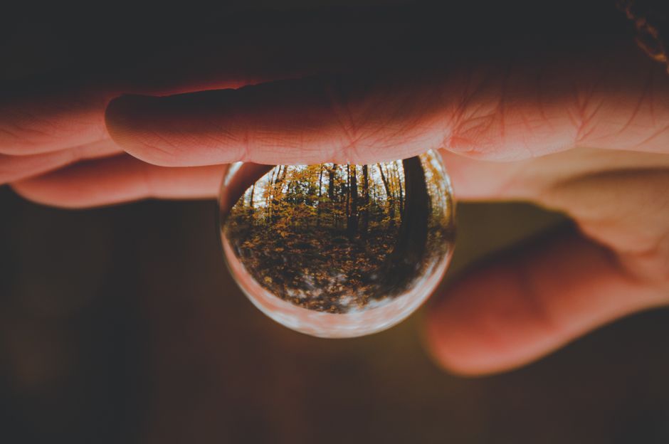 Hand holding a crystal sphere reflecting a forest scene, showcasing nature's beauty.