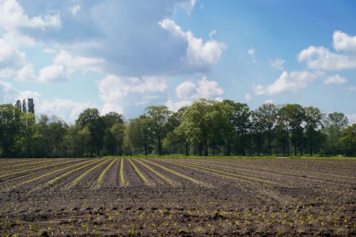 Ingyenes stockfotó farm, felhők, gyárak témában