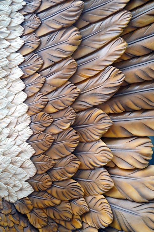 Wooden Carving Feathers
