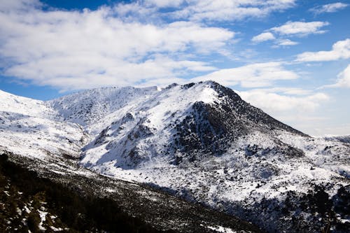 冬, 山岳, 木の無料の写真素材