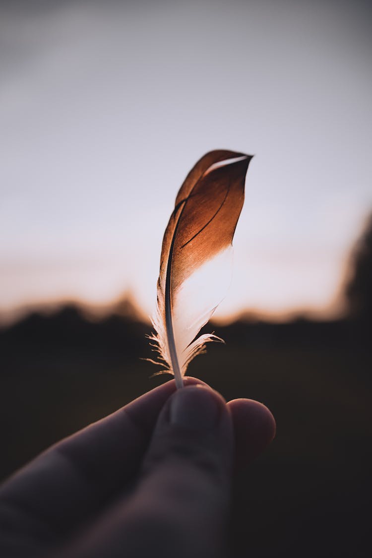 Fingers Holding Feather