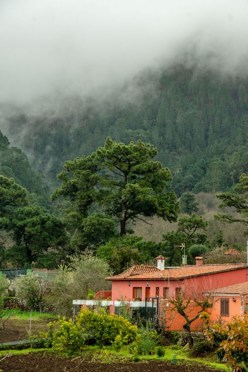 Free Picturesque farmhouse amidst lush greenery and foggy mountains in La Orotava, Canary Islands. Stock Photo