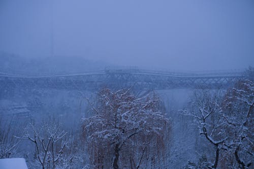Бесплатное стоковое фото с деревья, железо, зима