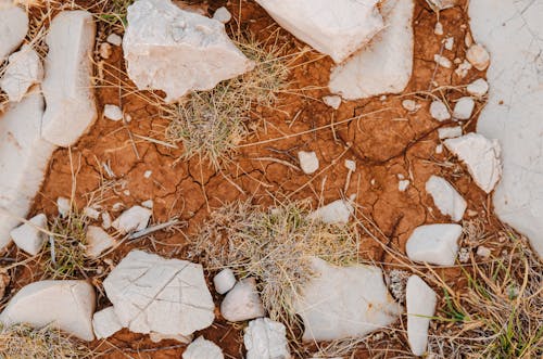 地面, 大理石, 廢墟 的 免費圖庫相片