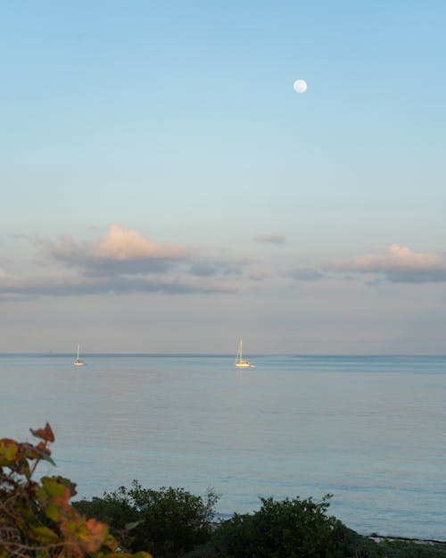 Kostnadsfri bild av blå ocean, blå-timme, måne