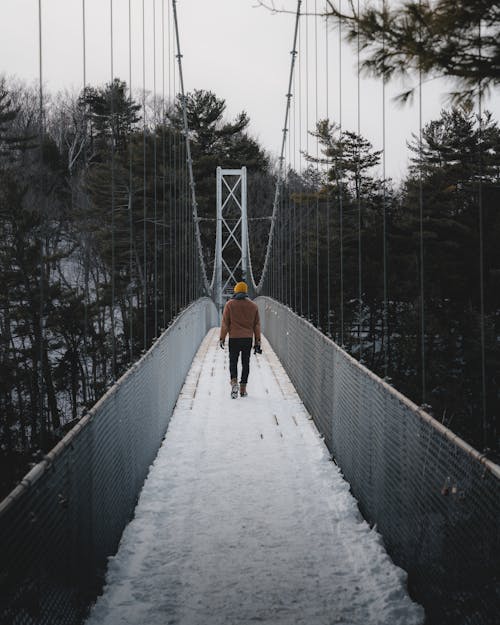 Imagine de stoc gratuită din călătorie, fotografiere verticală, iarnă