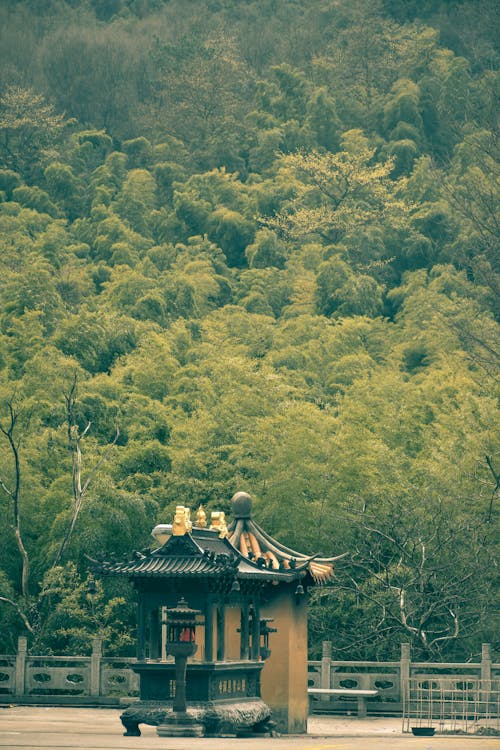 Foto profissional grátis de árvores, cenário, construção