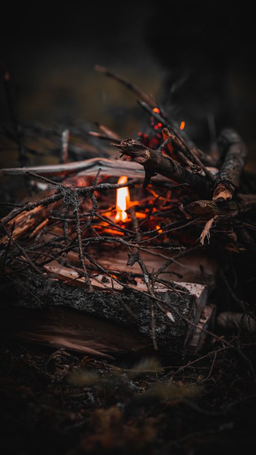 Free Vertical close-up of a burning bonfire with twigs, perfect for autumn themes. Stock Photo