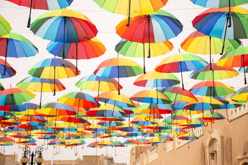 Colorful Umbrellas Above a Street 