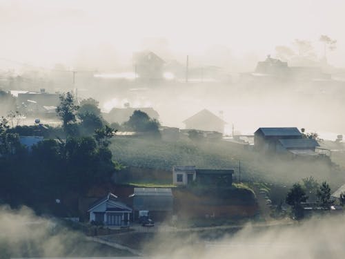 Fog over Houses in Village