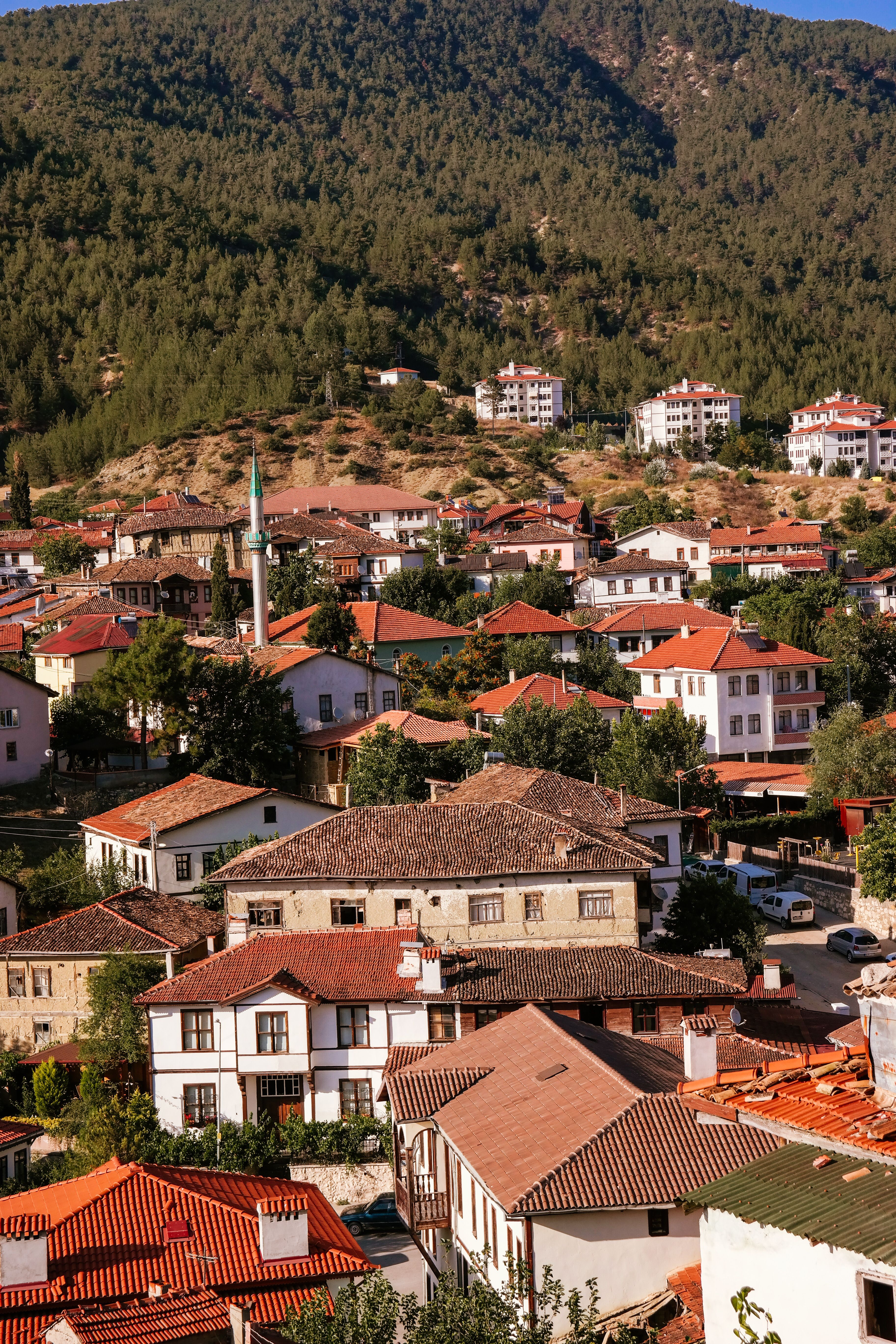 Charming aerial view of a small mountain town with red roofs amidst greenery, captured in summer.