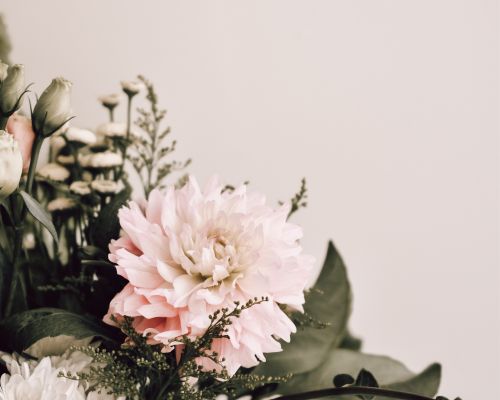 Free Beautiful close-up of a delicate pink dahlia flower in a bouquet, perfect for floral decoration. Stock Photo